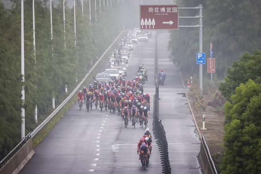 年长三角公, AXHDq 年长三角公, AXHDq