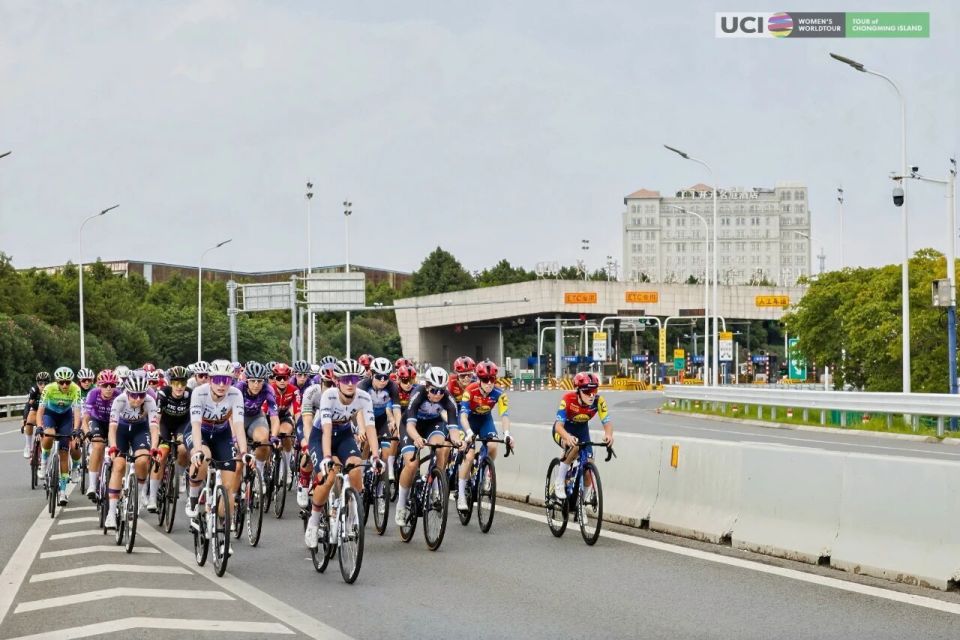 的名将范 的名将范